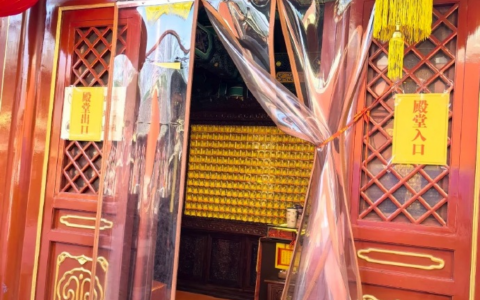 泰山奶奶狐仙堂口仙家算命