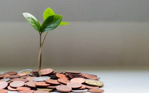 钱不是“允许”来的：财富更像一种承载力
