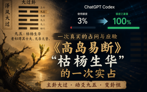 《高岛易断》实战案例：大过九五如何判断 Codex 额度是否重置？
